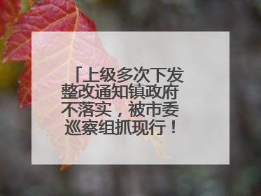 上级多次下发整改通知镇政府不落实，被市委巡察组抓现行！吉林一副镇长受党内警告处分