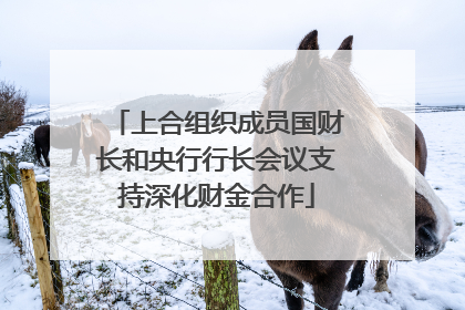 上合组织成员国财长和央行行长会议支持深化财金合作