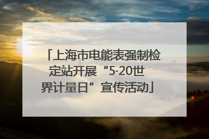 上海市电能表强制检定站开展“5·20世界计量日”宣传活动