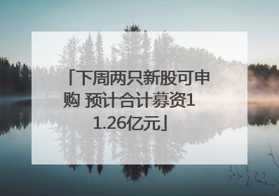 下周两只新股可申购 预计合计募资11.26亿元