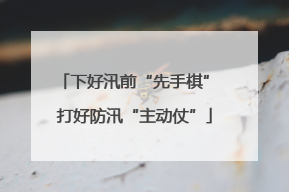 下好汛前“先手棋” 打好防汛“主动仗”