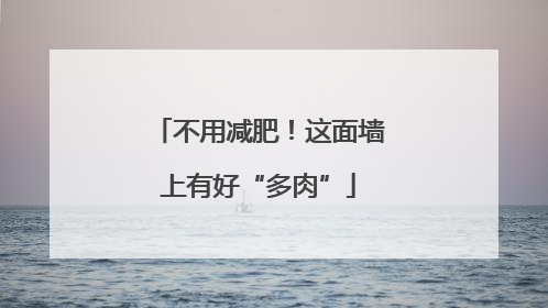 不用减肥！这面墙上有好“多肉”