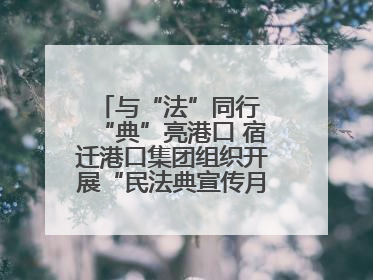 与“法”同行 “典”亮港口 宿迁港口集团组织开展“民法典宣传月”系列活动