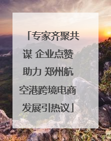 专家齐聚共谋 企业点赞助力 郑州航空港跨境电商发展引热议