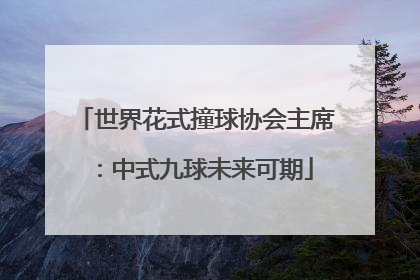 世界花式撞球协会主席：中式九球未来可期