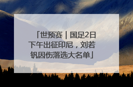 世预赛｜国足2日下午出征印尼，刘若钒因伤落选大名单