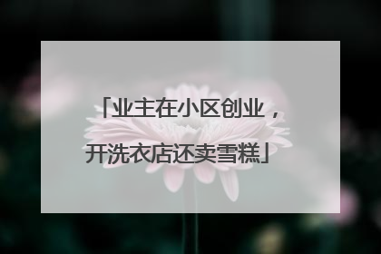 业主在小区创业，开洗衣店还卖雪糕