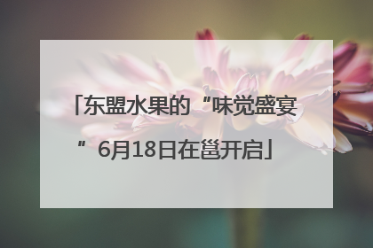 东盟水果的“味觉盛宴”6月18日在邕开启
