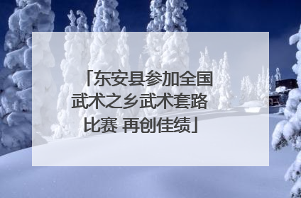 东安县参加全国武术之乡武术套路比赛 再创佳绩