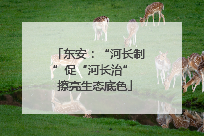 东安：“河长制”促“河长治” 擦亮生态底色