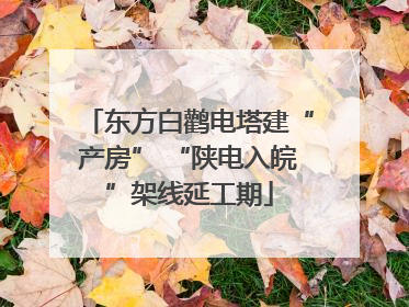 东方白鹳电塔建“产房” “陕电入皖”架线延工期