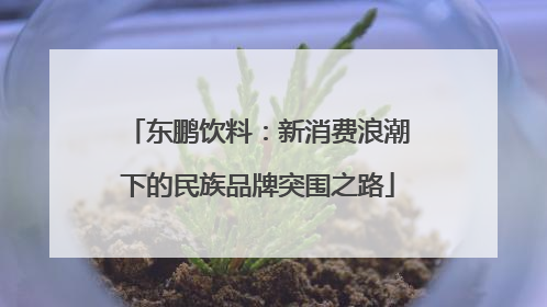 东鹏饮料：新消费浪潮下的民族品牌突围之路