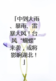 中到大雨、暴雨、雷暴大风！台风“蝴蝶”来袭，或将影响湖北！
