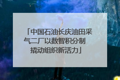 中国石油长庆油田采气二厂以数智积分制 撬动组织新活力