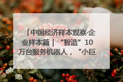 中国经济样本观察·企业样本篇｜“智造”10万台服务机器人，“小巨人”擎朗有大梦想