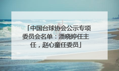 中国台球协会公示专项委员会名单：潘晓婷任主任，赵心童任委员