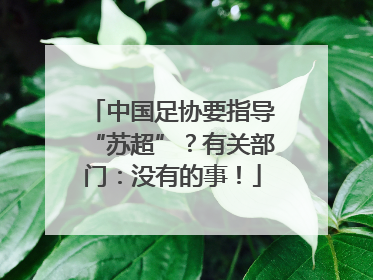中国足协要指导“苏超”？有关部门：没有的事！