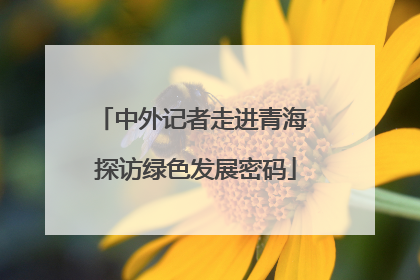 中外记者走进青海 探访绿色发展密码