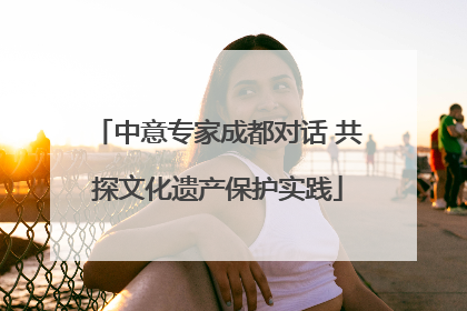 中意专家成都对话 共探文化遗产保护实践