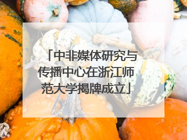中非媒体研究与传播中心在浙江师范大学揭牌成立