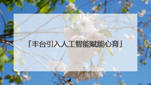 丰台引入人工智能赋能心育