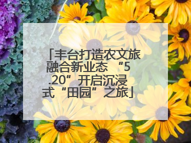 丰台打造农文旅融合新业态 “5.20”开启沉浸式“田园”之旅
