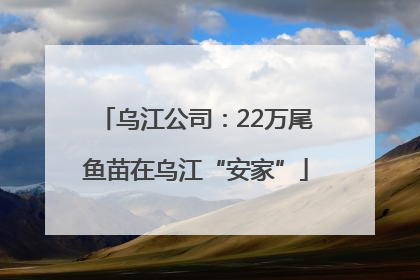 乌江公司：22万尾鱼苗在乌江“安家”