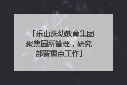乐山洙幼教育集团聚焦园所管理，研究部署重点工作