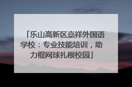 乐山高新区嘉祥外国语学校：专业技能培训，助力棍网球扎根校园