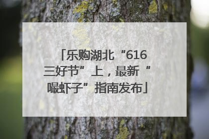 乐购湖北“616三好节”上，最新“嘬虾子”指南发布