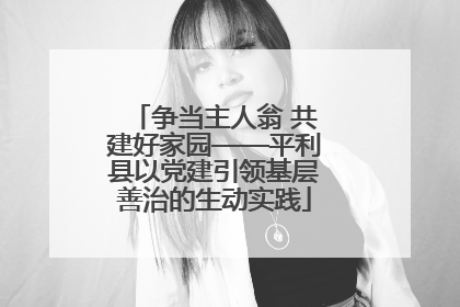 争当主人翁 共建好家园——平利县以党建引领基层善治的生动实践