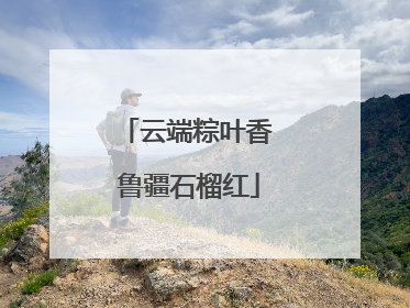 云端粽叶香 鲁疆石榴红