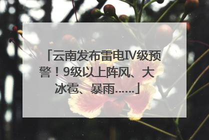云南发布雷电Ⅳ级预警！9级以上阵风、大冰雹、暴雨……