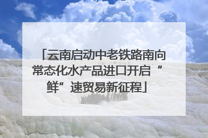 云南启动中老铁路南向常态化水产品进口开启“鲜”速贸易新征程