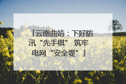 云南曲靖：下好防汛“先手棋” 筑牢电网“安全堤”