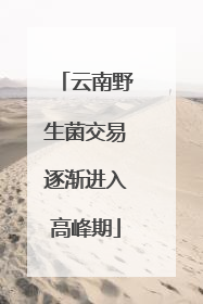 云南野生菌交易逐渐进入高峰期