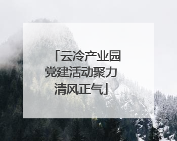 云冷产业园党建活动聚力清风正气