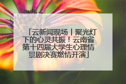 云新闻现场丨聚光灯下的心灵共振！云南省第十四届大学生心理情景剧决赛燃情开演