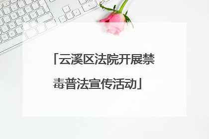 云溪区法院开展禁毒普法宣传活动