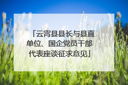 云霄县县长与县直单位、国企党员干部代表座谈征求意见