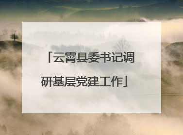 云霄县委书记调研基层党建工作