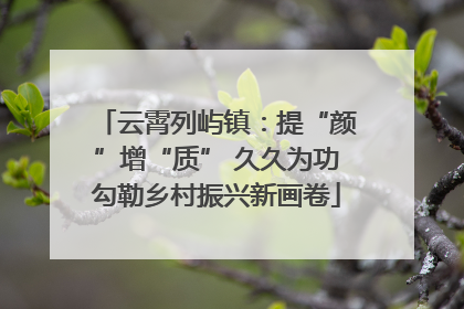 云霄列屿镇：提“颜”增“质” 久久为功勾勒乡村振兴新画卷