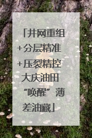 井网重组+分层精准+压裂精控 大庆油田“唤醒”薄差油藏