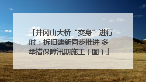 井冈山大桥“变身”进行时：拆旧建新同步推进 多举措保障汛期施工（图）