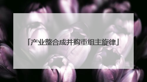 产业整合成并购重组主旋律