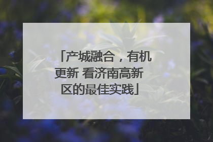 产城融合，有机更新 看济南高新区的最佳实践