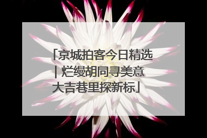 京城拍客今日精选｜烂缦胡同寻美意 大吉巷里探新标