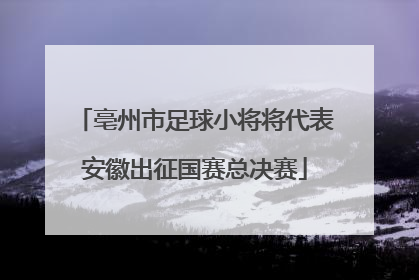 亳州市足球小将将代表安徽出征国赛总决赛