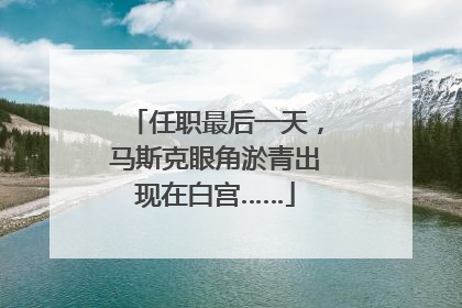 任职最后一天，马斯克眼角淤青出现在白宫……