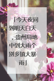 今天夜间到明天白天，贵州局地中到大雨个别乡镇大暴雨